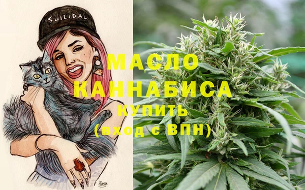 мет Ладушкин