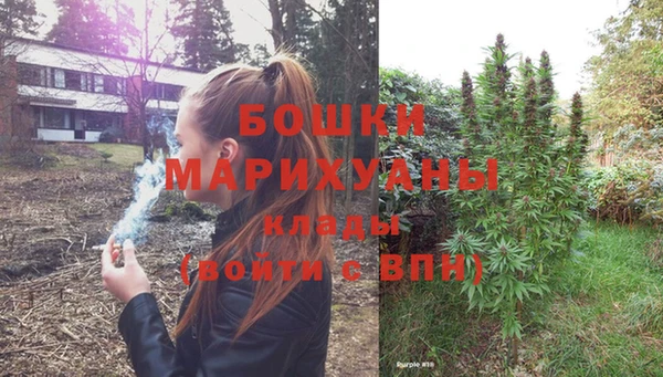 мет Ладушкин